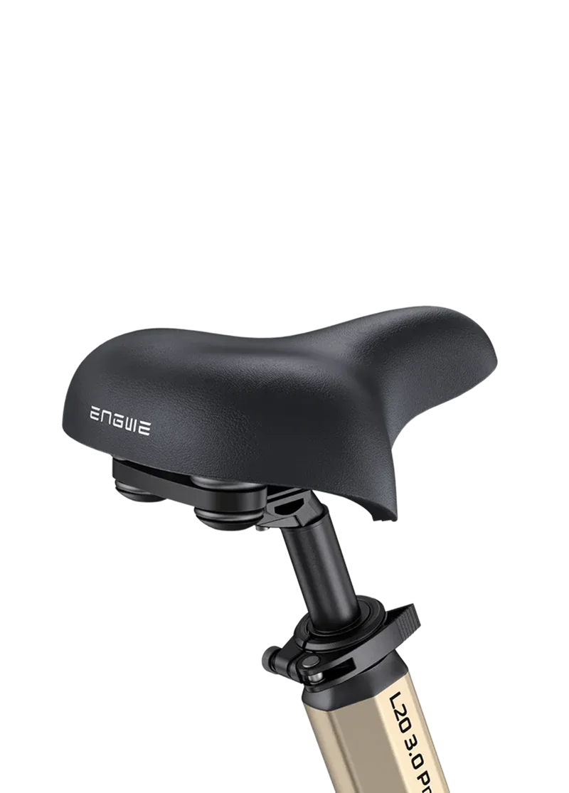 ENGWE L20 3.0 PRO