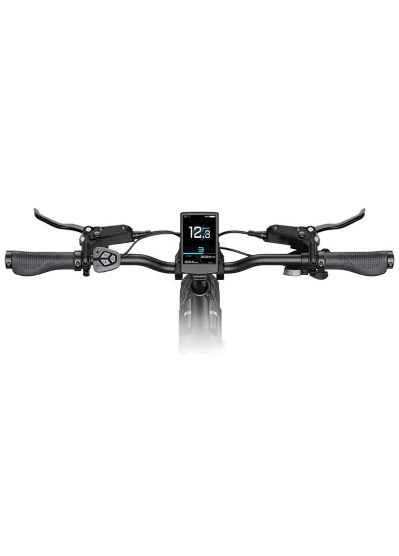 ENGWE L20 3.0 PRO