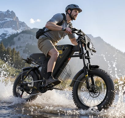 QY0_VARS2001_1 (X-Plorer Raptor)