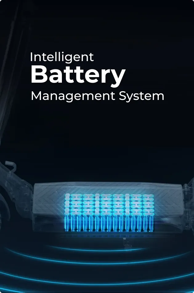 Intelligent Battery Management System