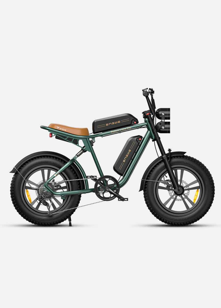 Engwe M20
