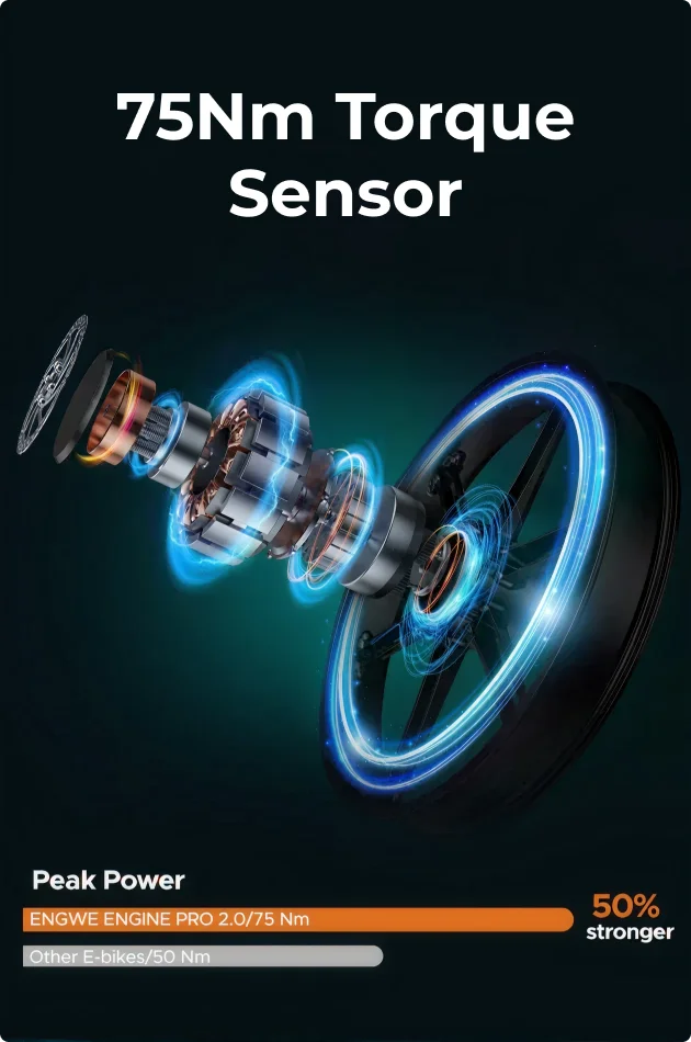 75Nm Torque Sensor
