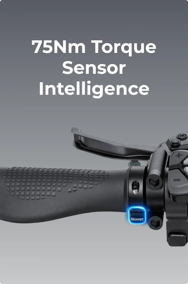 75Nm Torque Sensor Intelligence