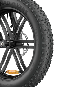ENGWE L20 Boost