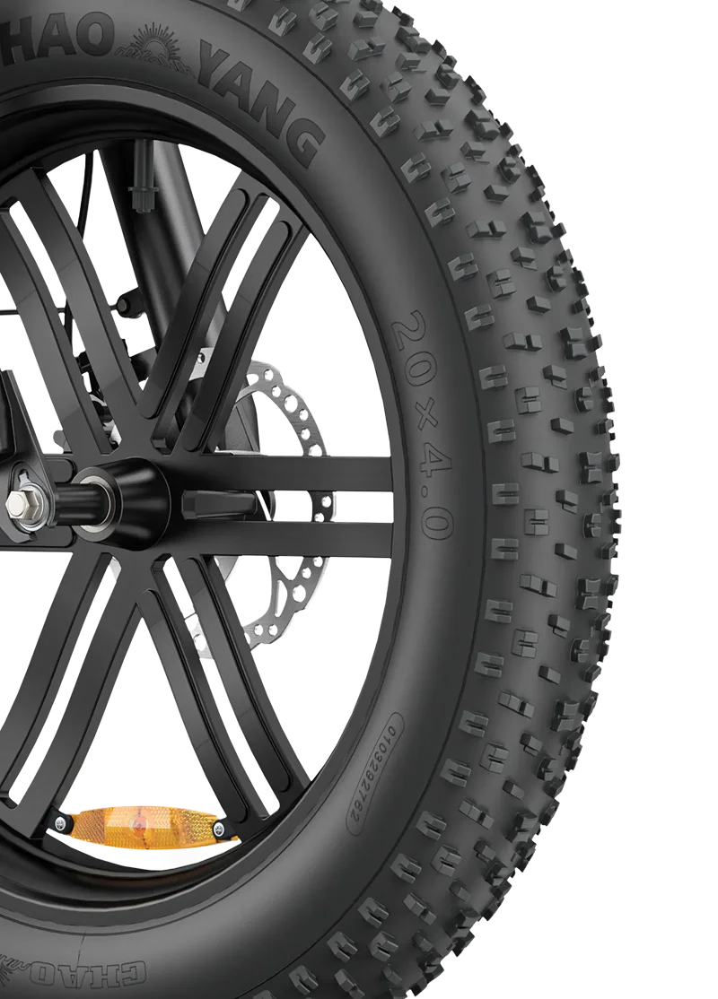 ENGWE L20 Boost