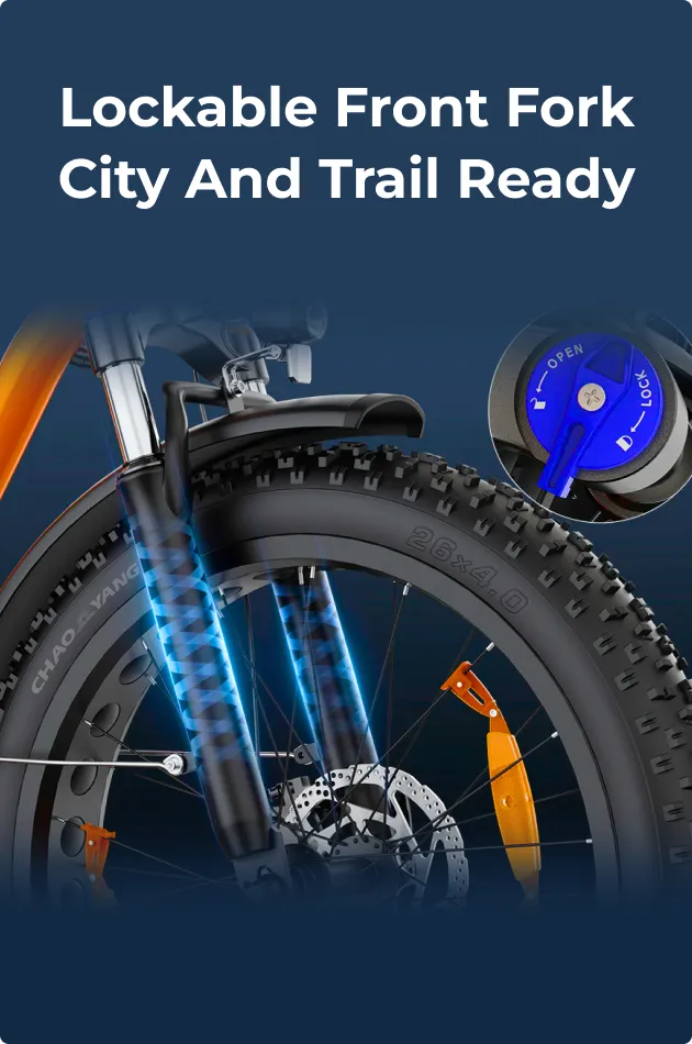 Lockable Front Fork - City and Trail Ready