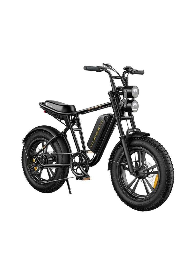 ENGWE M20