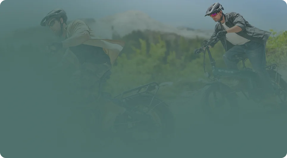 ENGWE M20 background