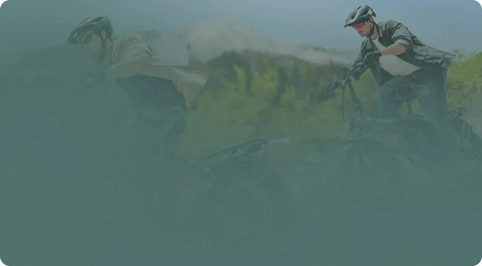 ENGWE M20 background