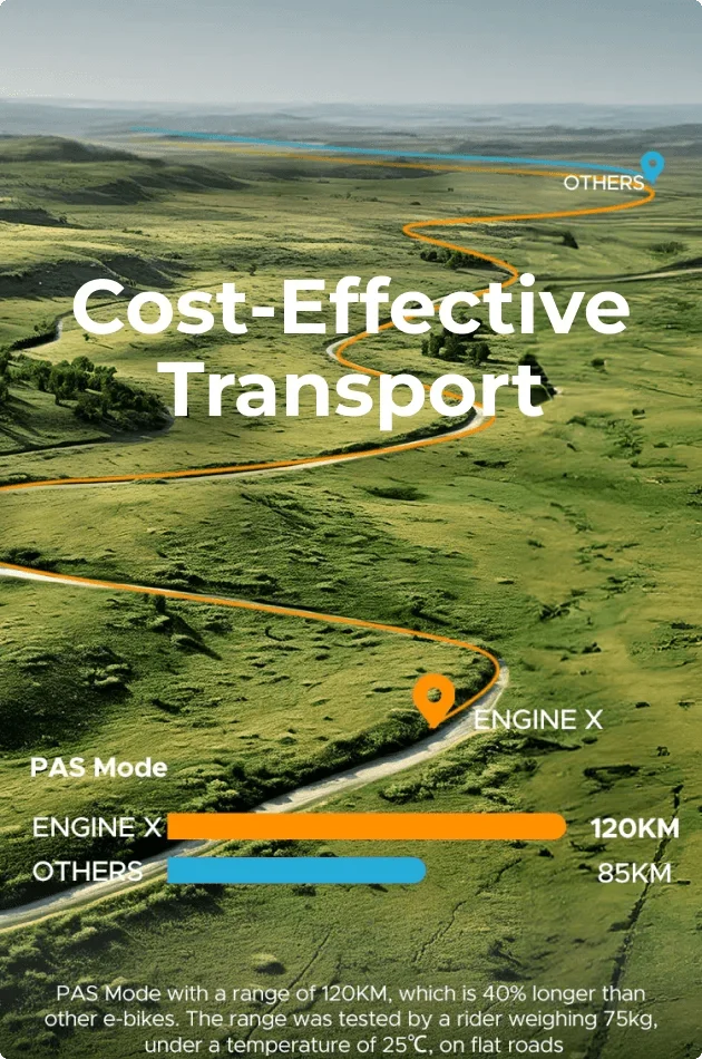 Cost-Effective Transport