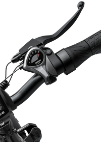 ENGWE EP-2 Pro