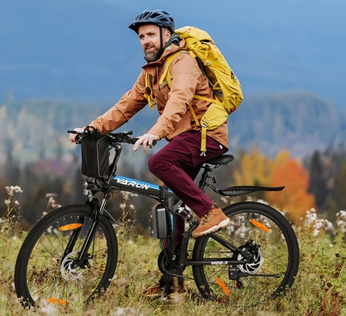 PLT_VARM2603 (M26-2)