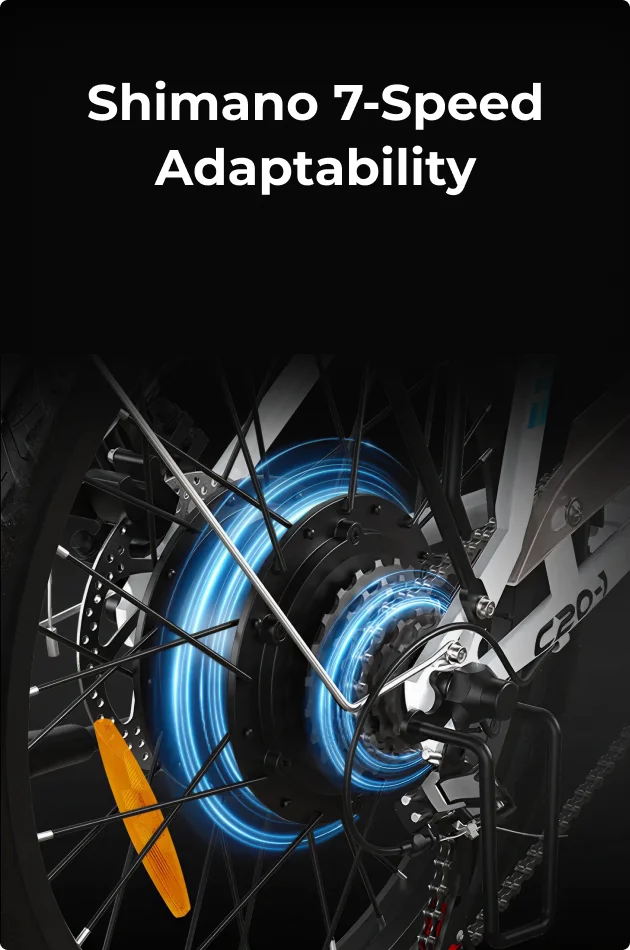 Shimano 7-Speed Adaptability