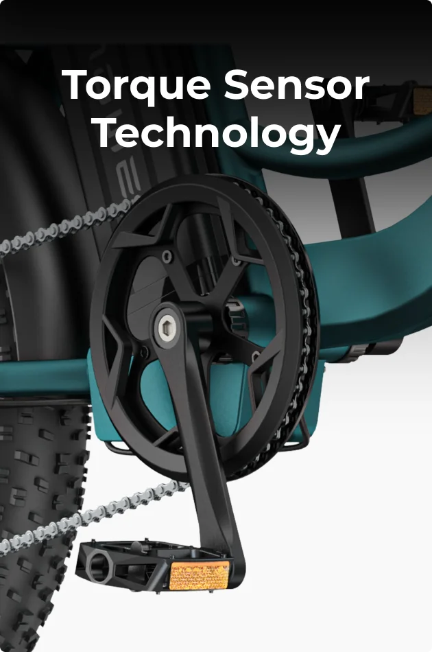 Torque Sensor Technology