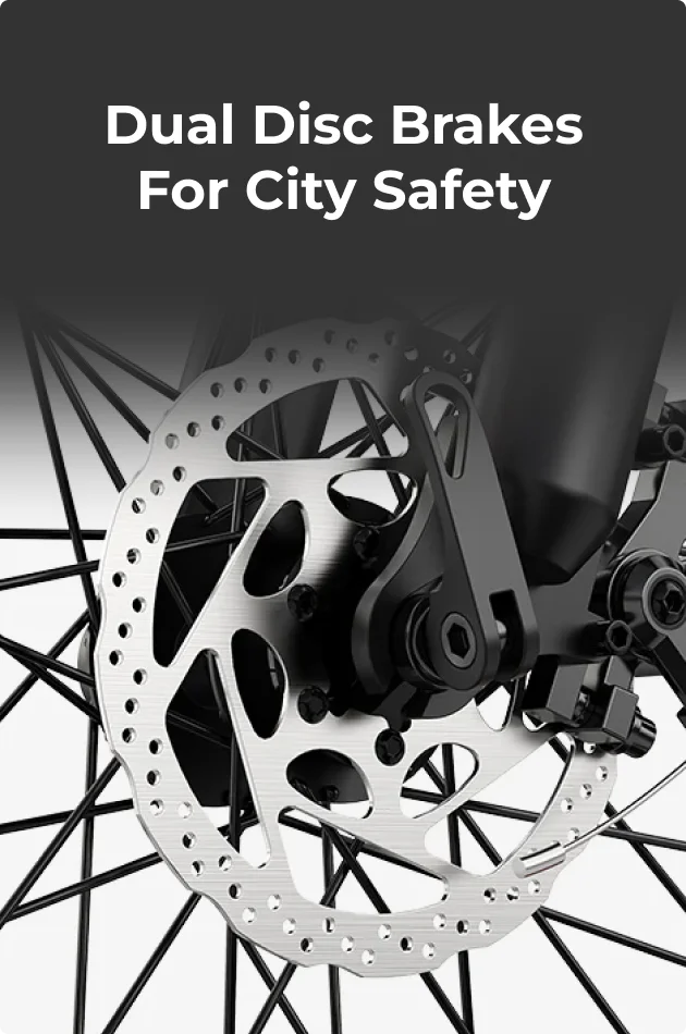 Dual Disc Brakes for City Safety